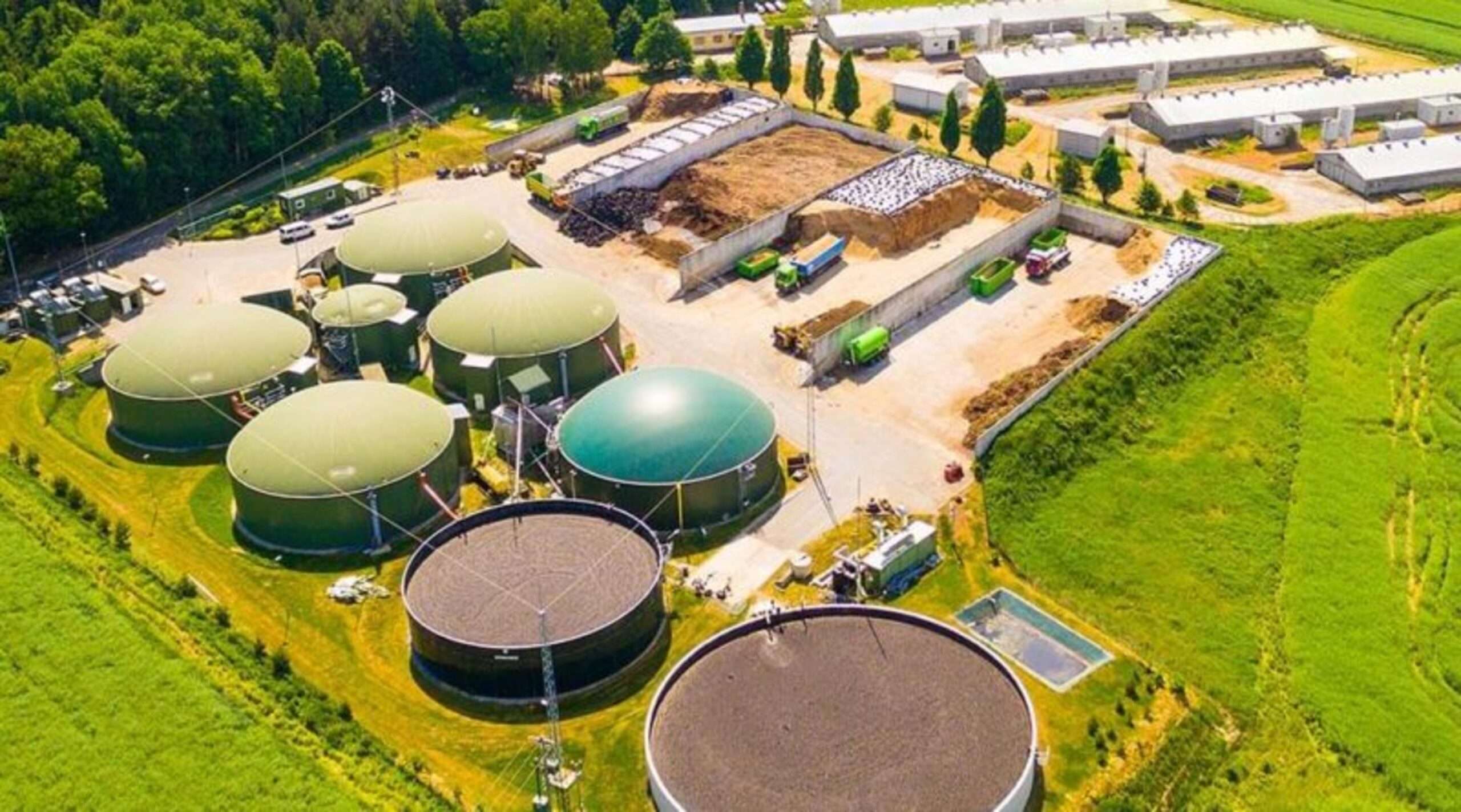 New biofuel policy to be implemented soon in Karnataka: KSBDB chief